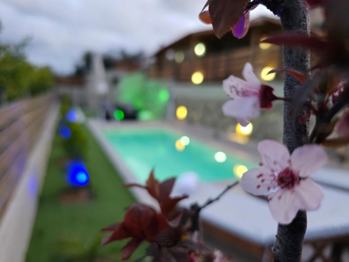 Elia Paradise Villa With Private Pool Iráclio Exterior foto